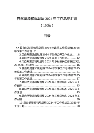 自然资源和规划局2024年工作总结汇编（10篇）