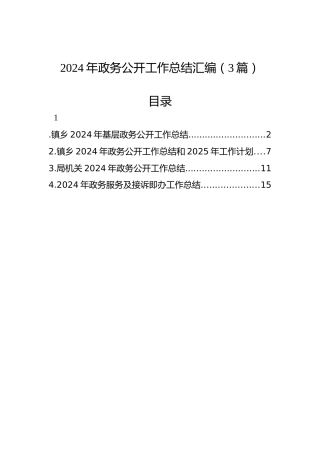 2024年政务公开工作总结汇编（3篇）