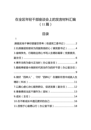 在全区年轻干部座谈会上的发言材料汇编（11篇）