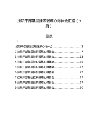 挂职干部基层挂职锻炼心得体会汇编（9篇）