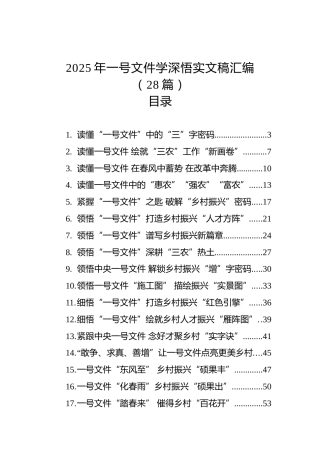 2025年一号文件学深悟实文稿汇编（28篇）