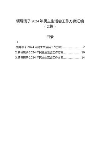 领导班子2024年民主生活会工作方案汇编（2篇）
