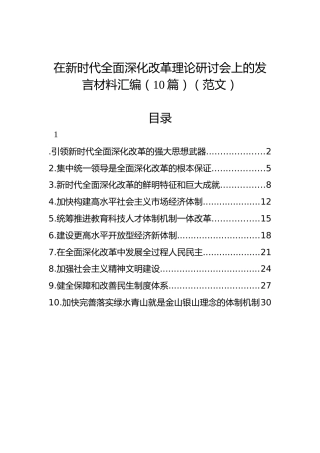 在新时代全面深化改革理论研讨会上的发言材料汇编（10篇）（范文）