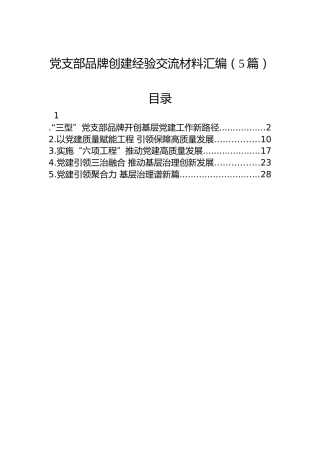 党支部品牌创建经验交流材料汇编（5篇）