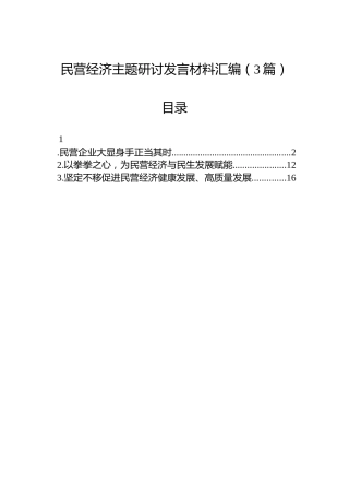 民营经济主题研讨发言材料汇编（3篇）