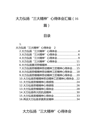 大力弘扬“三大精神”心得体会汇编（16篇）
