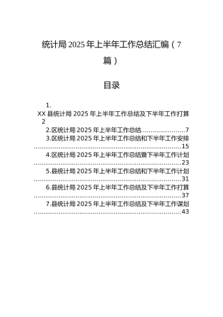 统计局2025年上半年工作总结汇编（7篇）