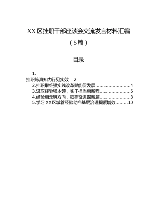 XX区挂职干部座谈会交流发言材料汇编（5篇）