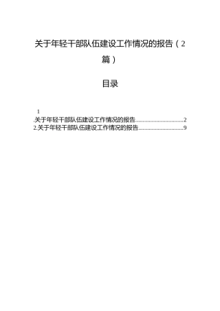 关于年轻干部队伍建设工作情况的报告（2篇）
