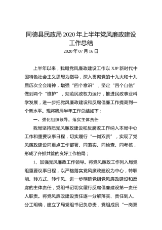 同德县民政局2020年上半年党风廉政建设工作总结