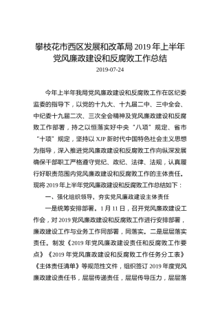 攀枝花市西区发展和改革局2019年上半年党风廉政建设和反腐败工作总结
