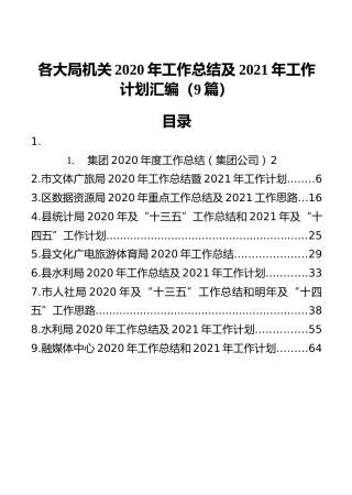 各大局机关2020年工作总结及2021年工作计划汇编（9篇）