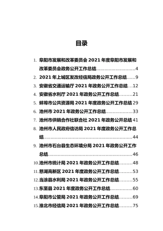 2021年政务公开工作总结汇编（30篇）(1)