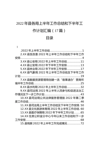 2022年县各局上半年工作总结和下半年工作计划汇编（17篇）
