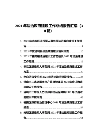 2021年法治政府建设工作总结报告汇编（30篇）