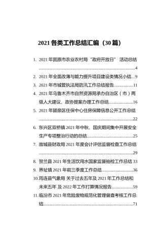 2021各类工作总结汇编（30篇）