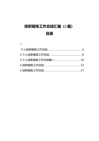 挂职锻炼工作总结汇编（5篇）