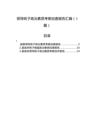 领导班子政治素质考察自查报告汇编（3篇）