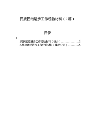 民族团结进步工作经验材料（2篇）