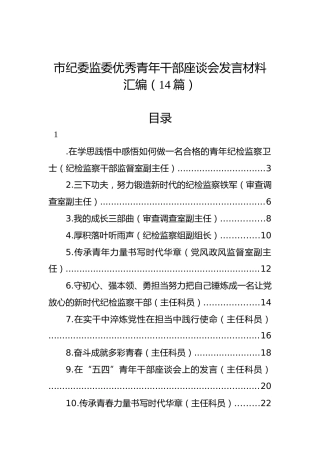 市纪委监委优秀青年干部座谈会发言材料汇编（14篇）