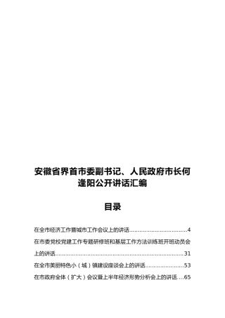 安徽省界首市委副书记、人民政府市长何逢阳公开讲话汇编 (2)