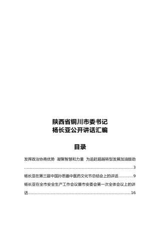陕西省铜川市委书记杨长亚公开讲话汇编