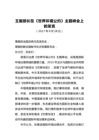 王毅部长：在《世界环境公约》主题峰会上的发言