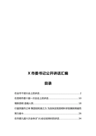 X市委书记公开讲话汇编