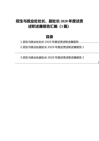 招生与就业处处长、副处长2020年度述责述职述廉报告汇编（3篇）