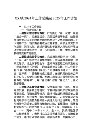 XX镇2024年工作总结及2025年工作计划-3