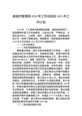 县城市管理局2024年工作总结及2025年工作计划 (2)