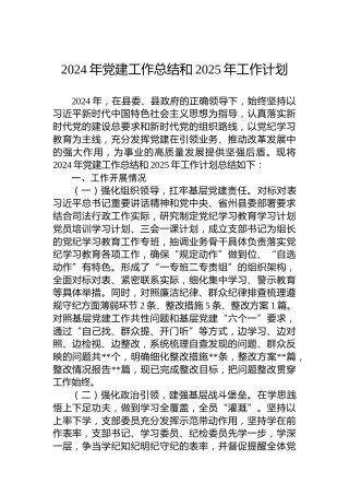 2024年党建工作总结和2025年工作计划-2