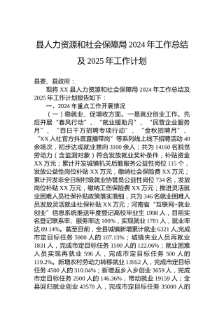 县人力资源和社会保障局2024年工作总结及2025年工作计划-2