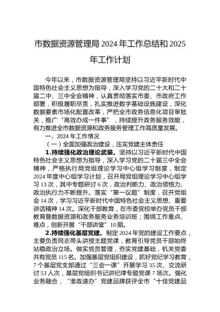 市数据资源管理局2024年工作总结和2025年工作计划-2