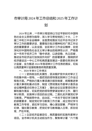市审计局2024年工作总结和2025年工作计划 (2)