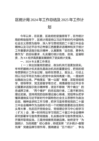 区统计局2024年工作总结及2025年工作计划-2