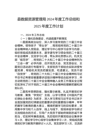 县数据资源管理局2024年度工作总结和2025年度工作计划