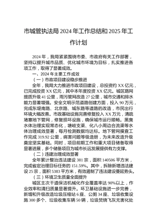 市城管执法局2024年工作总结和2025年工作计划