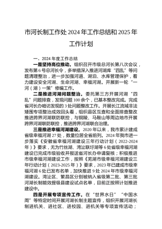 市河长制工作处2024年工作总结和2025年工作计划
