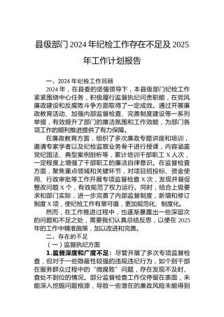 县级部门2024年纪检工作存在不足及2025年工作计划报告