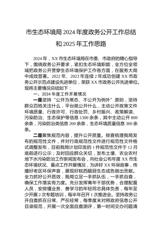 市生态环境局2024年度政务公开工作总结和2025年工作思路