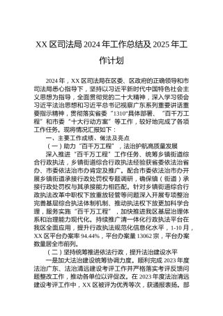 XX区司法局2024年工作总结及2025年工作计划