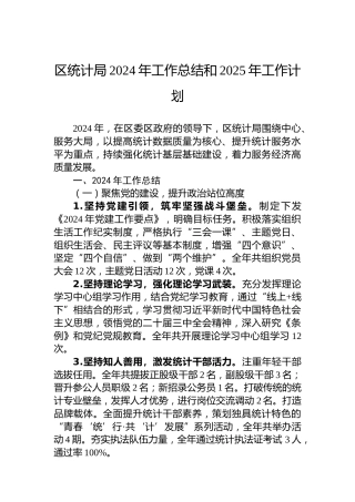 区统计局2024年工作总结和2025年工作计划