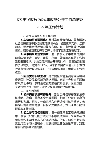 XX市民政局2024年政务公开工作总结及2025年工作计划