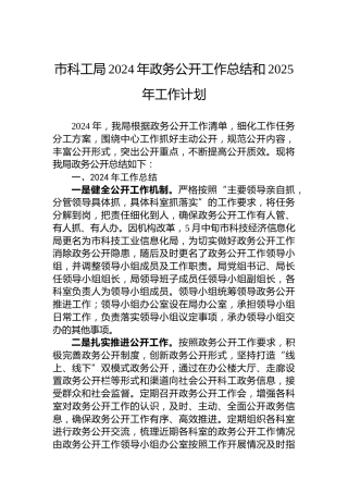市科工局2024年政务公开工作总结和2025年工作计划