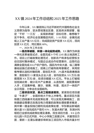 XX镇2024年工作总结和2025年工作思路