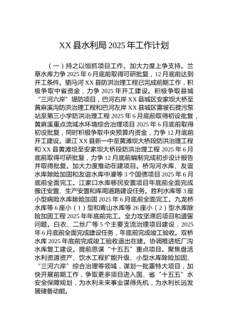 XX县水利局2025年工作计划