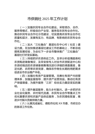 市供销社2025年工作计划