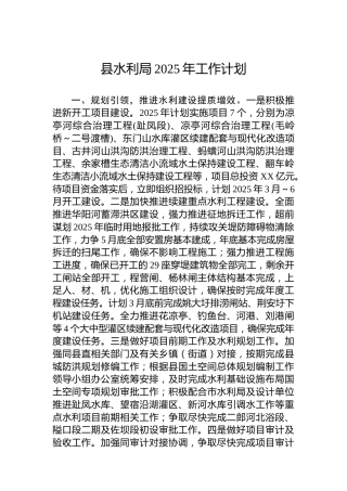 县水利局2025年工作计划