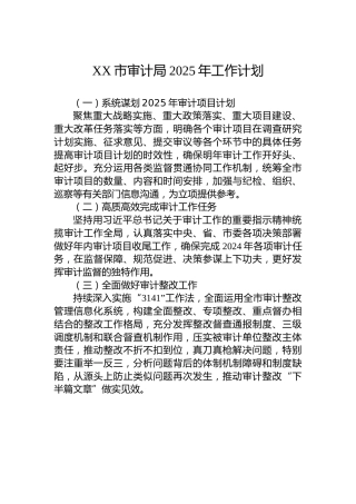 XX市审计局2025年工作计划